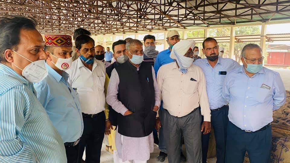 पांवटा साहिब और कालाअंब में गेहूं की खरीद शुरू