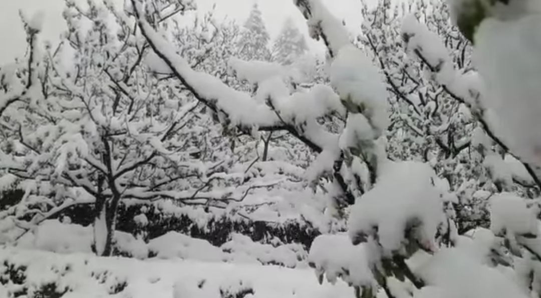 अप्रैल महीने में ठंड का अहसास,पहाड़ों में बर्फबारी,मैदानी इलाकों में बारिश