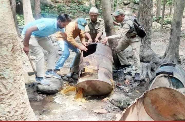 टोका के जंगलों में वन विभाग की दबिश, 4 भट्ठियाें सहित हजारों लीटर लाहन की नष्ट