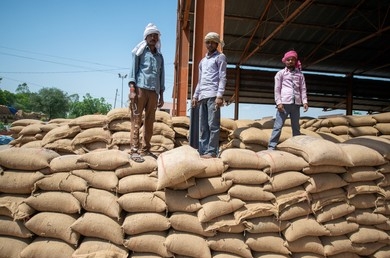 आज से डमटाल अनाज मंडी अनिश्चितकाल तक बंद