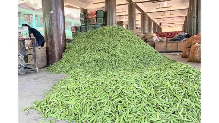 सिरमौर: 80% मटर की फसल तबाह, बाकी के दाम भी मिल रहे कम