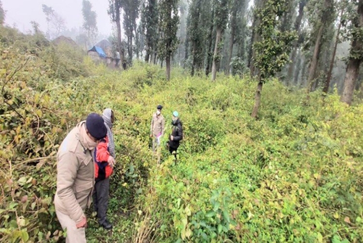 पांवटा साहिब: माजरा में फायरिंग, एक व्यक्ति की मौत, दूसरा बुरी तरह जख्मी