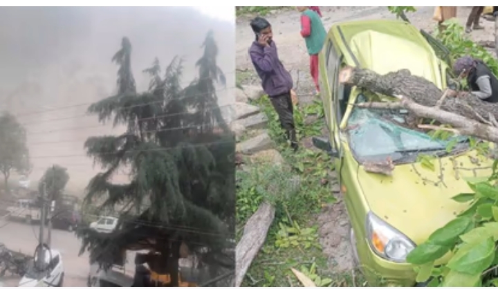 कुल्लू में अंधड़ ने बरपाया कहर, कई स्कूलों और घरों की छतें उड़ीं, बागवानी को नुकसान