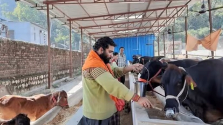 सारी प्रॉपर्टी गिरवी रख बेसहारा गोवंश के लिए बनाई गोशाला, पांवटा साहिब