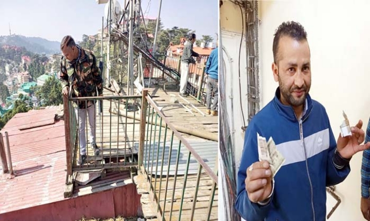 पैसों से भरा बैग छीनकर भागा बंदर, फाड़कर फैंके नोट: शिमला