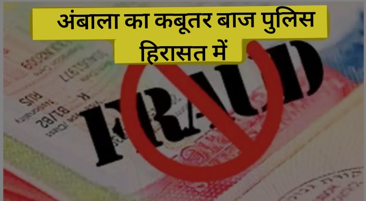 अंबाला का कबूतर बाज पांवटा साहिब पुलिस ने पकड़ा