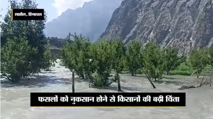 Lahul: चिनाब नदी का जलस्तर बढ़ा, जोबरंग और जसरथ के आठ किसानों के बगीचे-खेत बने तालाब