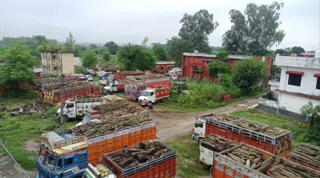 ऊना पुलिस ने पंजाब जा रही लकड़ी से लदी 28 गाड़ियों को पकड़ा