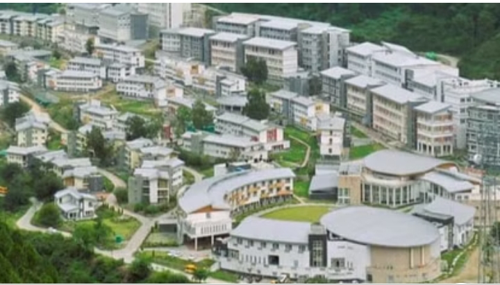 IIT Mandi Research: डेंगू मच्छर के अंडों की प्रतिरोधकता के पीछे की बायोकेमिस्ट्री को किया उजागर