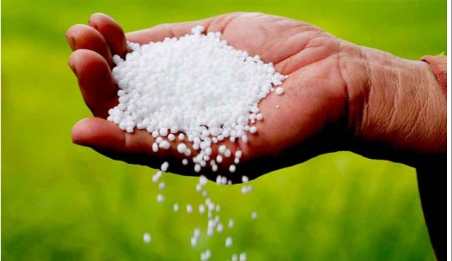 हिमाचल में 15 दिन मे आई 5,300 टन यूरिया खाद, किसानों को मिली राहत