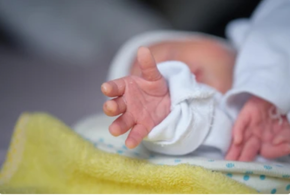 हिमाचल में मां की ममता हुई शर्मसार, कुहल में पड़ी मिली नवजात बच्ची