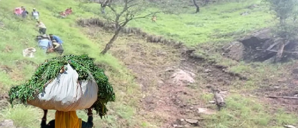हिमाचल: लोहड़ी पर छिन गई खुशियां, घर से एक साथ उठेगी दादी-पोती की अर्थी