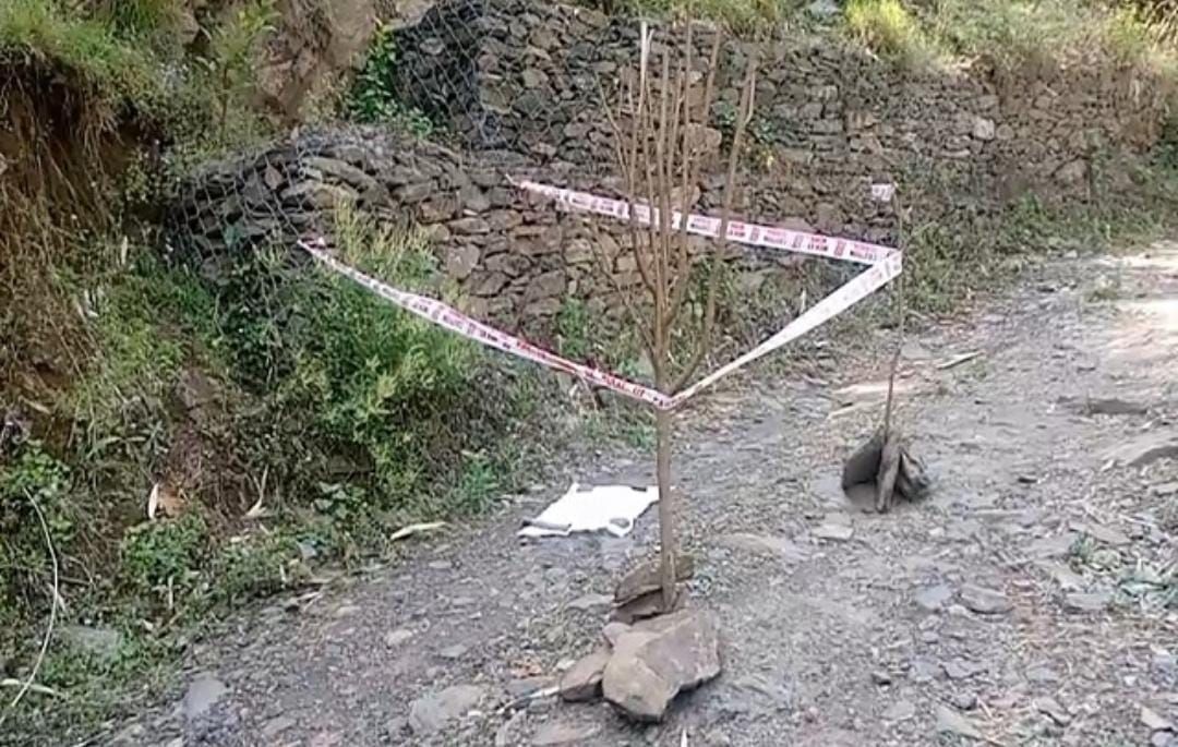 हिमाचल: मां की ममता फिर दागदार, सड़क पर पड़ा मिला मासूम- जानवरों ने बुरी तरह नोचा था