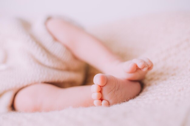 हिमाचल: तालाब में मिला नवजात का शव, गले में बंधा था पत्थर