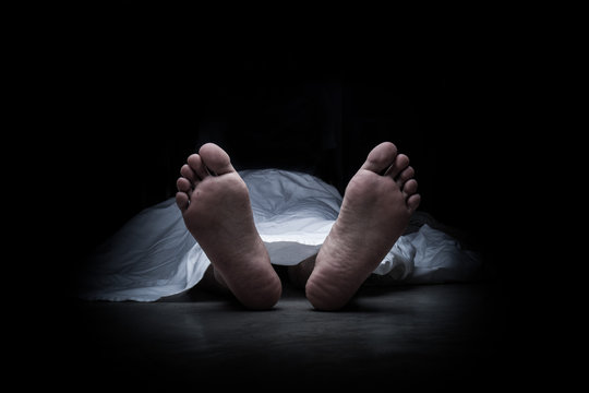 हिमाचल: सड़क किनारे फोन पर बात कर रहा था पंचायत प्रधान, बेकाबू ट्रक ने रौंदा- क्षेत्र में दौड़ी दुख की लहर
