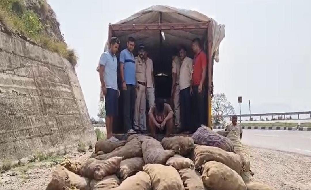 हिमाचल: ट्रक में आलू की बोरियों के नीचे छिपाई थी अवैध शराब की खेप, 380 पेटियां बरामद