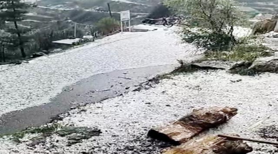 Mandi: ओलावृष्टि ने बर्बाद की सेब और मटर की फसल