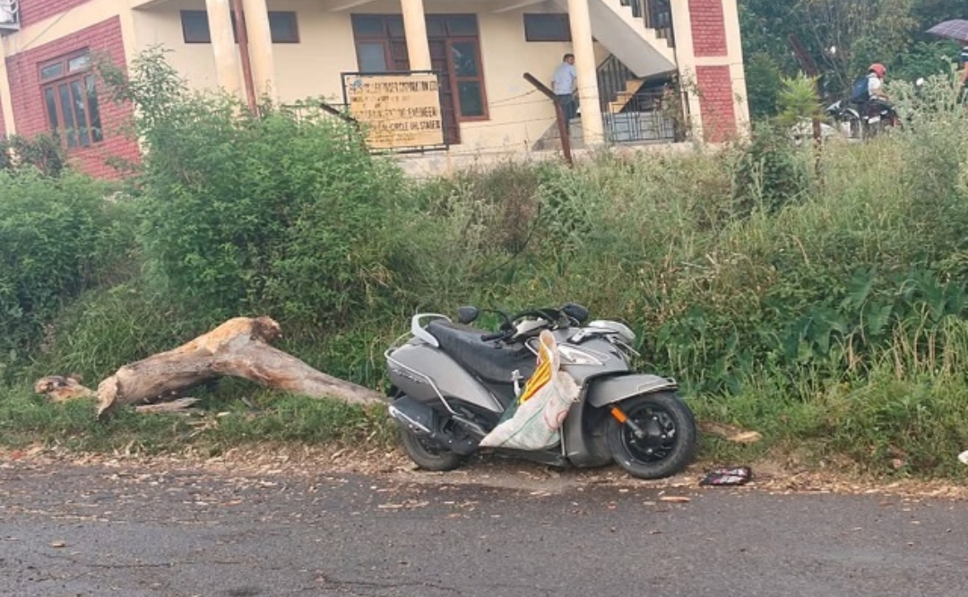जोगिंद्रनगर में चलती स्कूटी पर गिरा पेड़, चालक की हालत गंभीर, टांडा रेफर