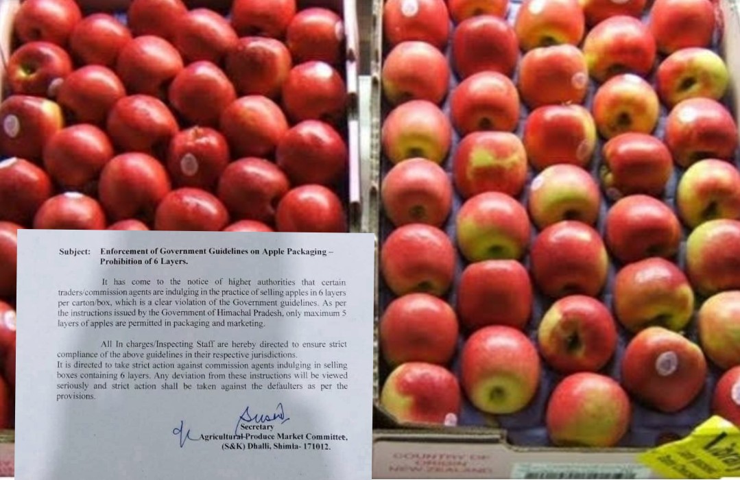 सेब की पैकिंग 6 लेयर पैकिंग पर पूर्ण प्रतिबंध, उल्लंघन पर कार्रवाई के आदेश