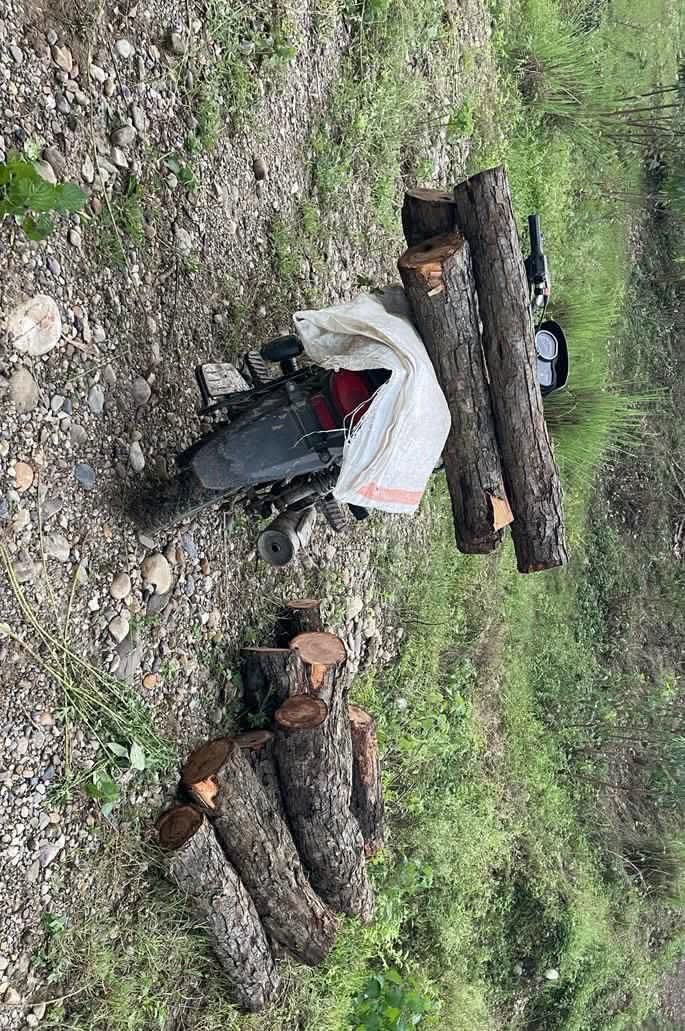 ताहरपुर के जंगल से काटे खैर के पेड़, बाइक छोडक़र भागे तस्कर सिरमौर के पलौड़ी का राशिद भी शामिल
