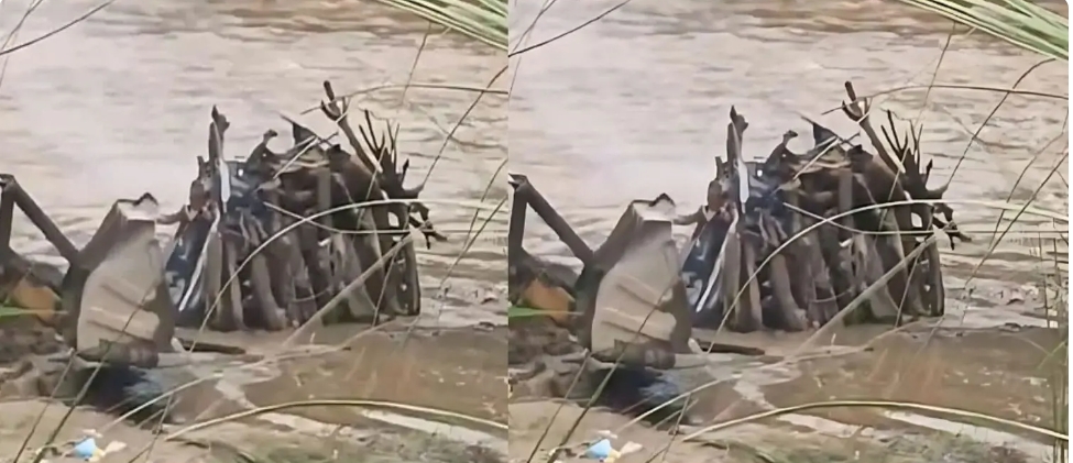 हिमाचल: उफान पर आई खड्ड ने बुझा दी दहकती चिता, अंतिम संस्कार के बीच मची अफरा तफरी