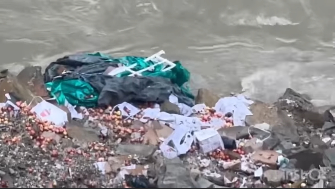 पंडोह डैम के पास ब्यास नदी में गिरा सेब से लदा वाहन, तलाश जारी