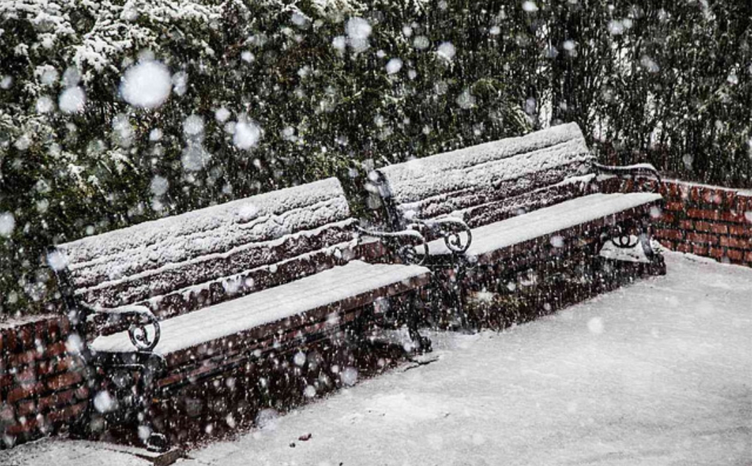 कैलाश पर्व पर हुई ताजा बर्फबारी, यात्री ठिठुरने को मजबूर