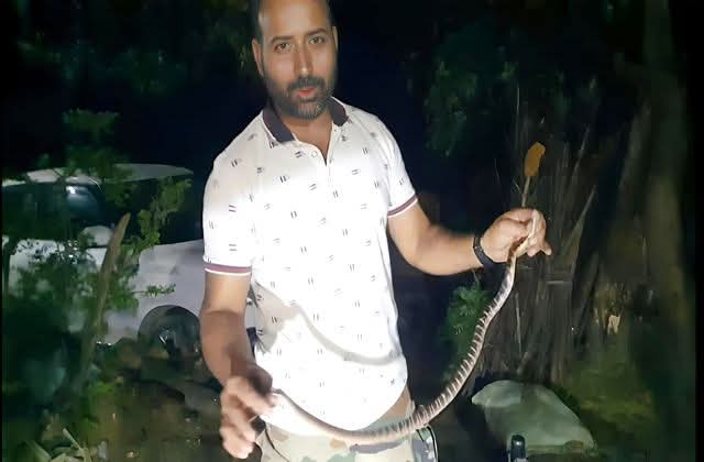 हमीरपुर: महिला के बिस्तर में घुसा सांप, सूझबूझ से टला बड़ा हादसा